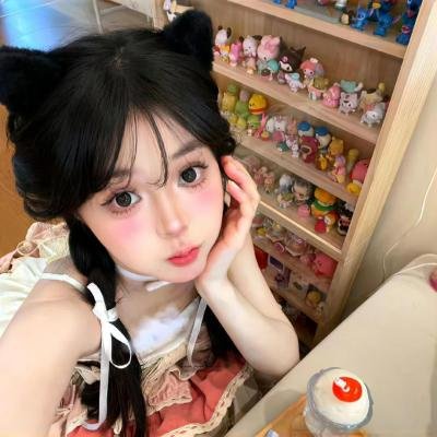 科搜研之女第24季